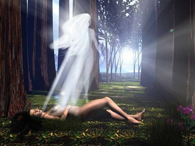 Eterno latido (Koldo Aldai)