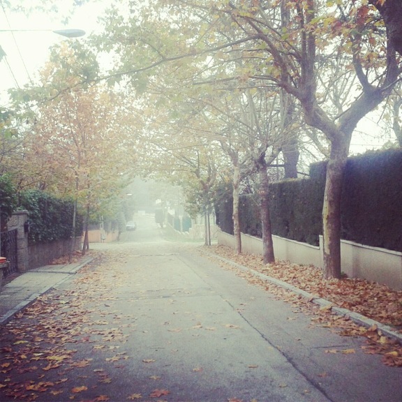 Pensamiento simiente 21 noviembre 2012: necesito pureza, luz, espacio