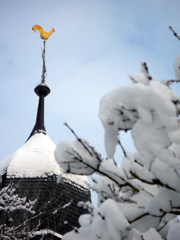 Esperado el pato asado (Ana Novo)