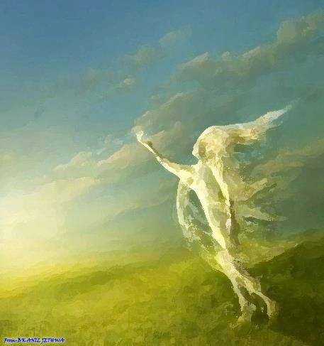 Propuesta de caminata silenciosa el 22 de diciembre de 2012