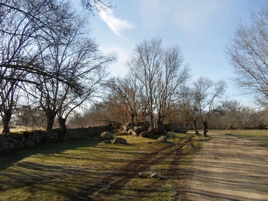 Pensamiento simiente 7 enero 2013: bendecir, agradecer, consagrar