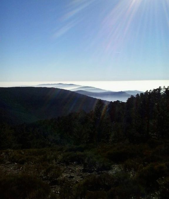 Pensamiento simiente 11 enero 2013: monumentos de luz y de amor