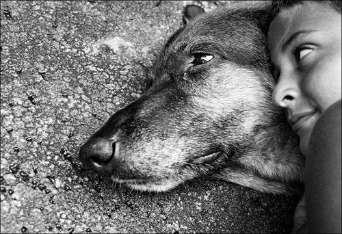 Son hermanos (Koldo Aldai)