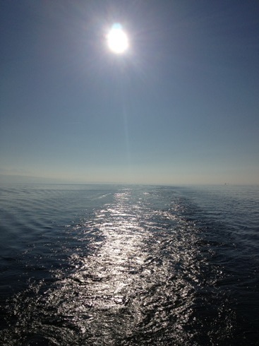 Pensamiento simiente 20 febrero 2013: las ondas que se propagan