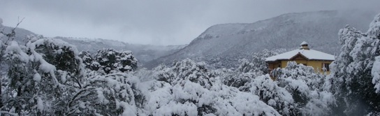 Nadie pregunte quién robó la primavera (Koldo Aldai)