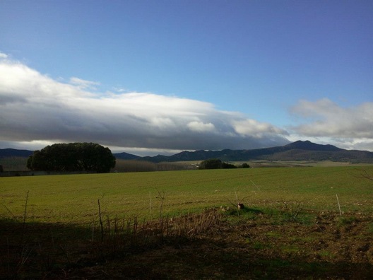 Pensamiento simiente 16 abril 2013: la verdadera vocación