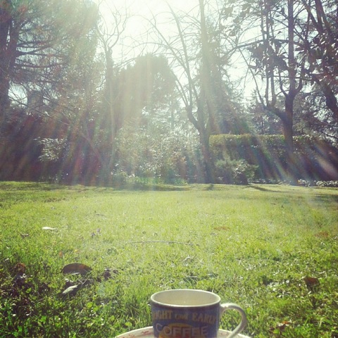 Pensamiento simente 15 abril 2013: aprended a bendecir todo lo que tocáis