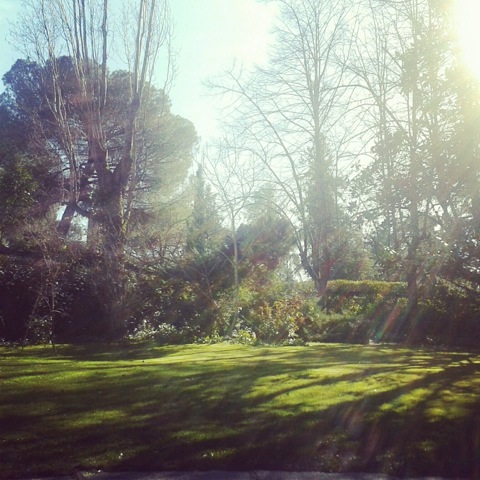 Pensamiento simiente 11 abril 2013: miasmas o luz