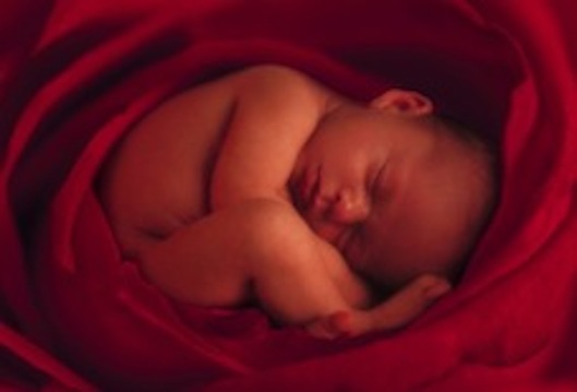 Vida siempre sagrada (Koldo Aldai)