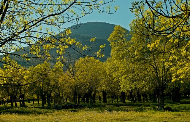Pensmiento simiente 8 mayo 2013: el cristal