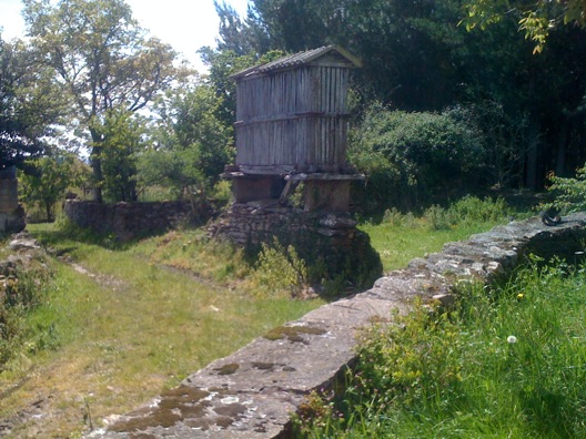 Pensamiento simiente 22 mayo 2013: ser conscientes de la riqueza