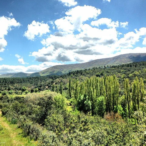 Pensamiento simiente 16 mayo 2013: la habitación secreta