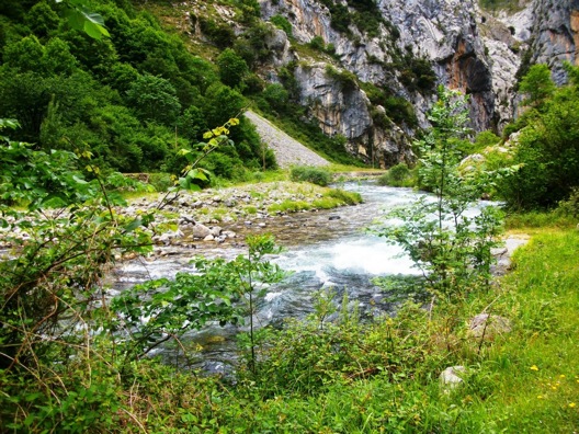 Pensamiento simiente 10 mayo 2013: la Unión