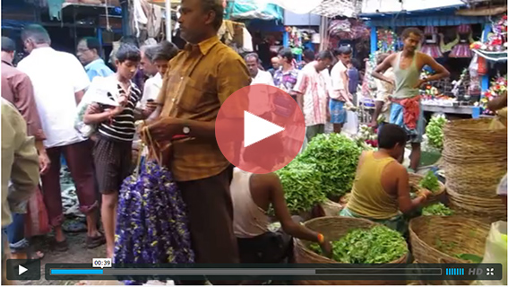 Vídeo de Silvia Hidalgo, voluntaria de Colores de Calcuta en 2012