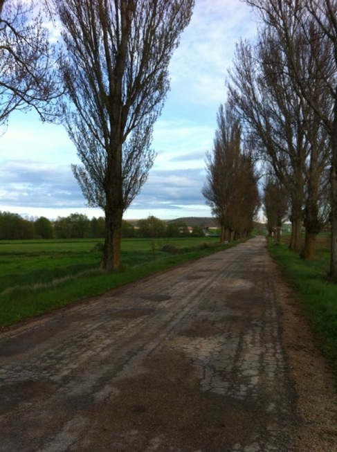 Pensamiento simiente 9 mayo 2013: contribuir paz y luz