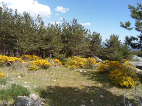 Pensamiento simiente 19 junio 2013: las riquezas inagotables