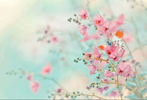 Pensamiento simiente 3 junio 2013: el santuario interior