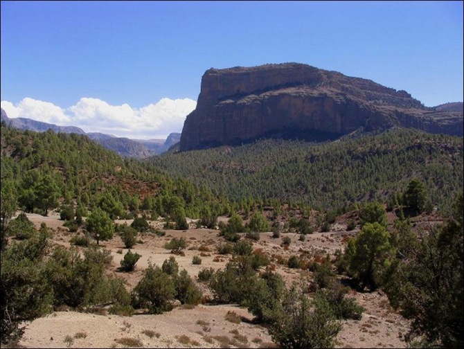 Pensamiento simiente 11 junio 2013: sal de la cárcel, ahora eres libre
