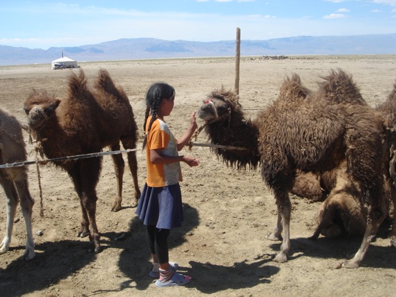 Pensamiento simiente 6 junio 2013: los sabios buscan la armonía
