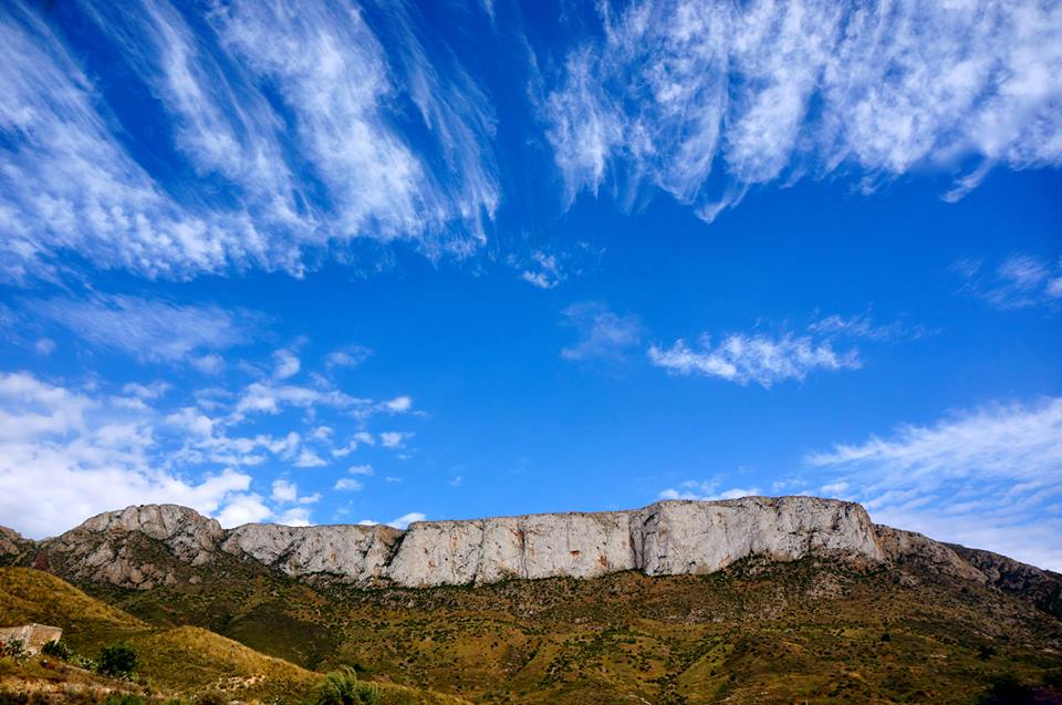 Pensamiento simiente 10 junio 2013: formulad una petición, la más bella y más pura