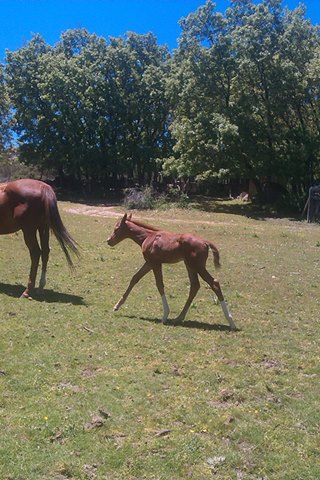 Pensamiento simiente 7 junio 2013: la consciencia del alma