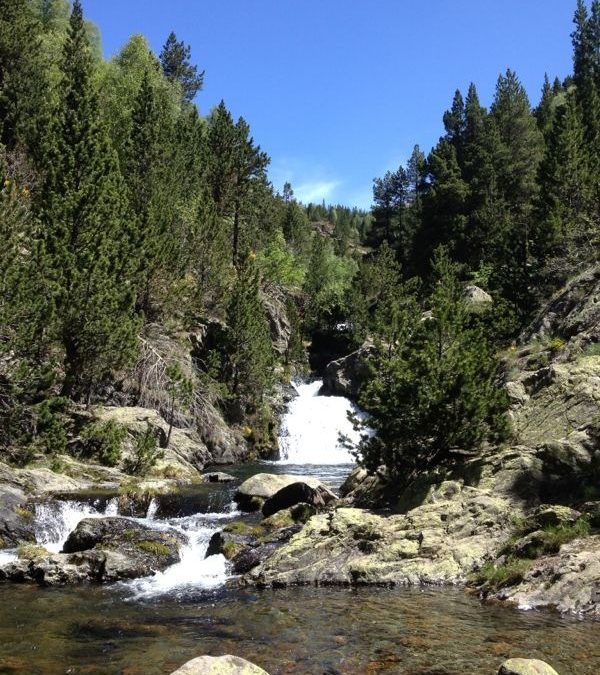 Pensamiento simiente 3 julio 2013: el pensamiento que llega a todos los seres