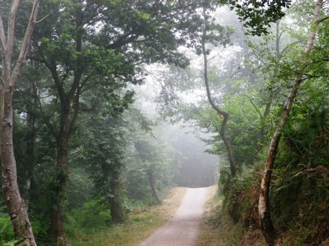 Pensamiento simiente 17 julio 2013: el gran misterio