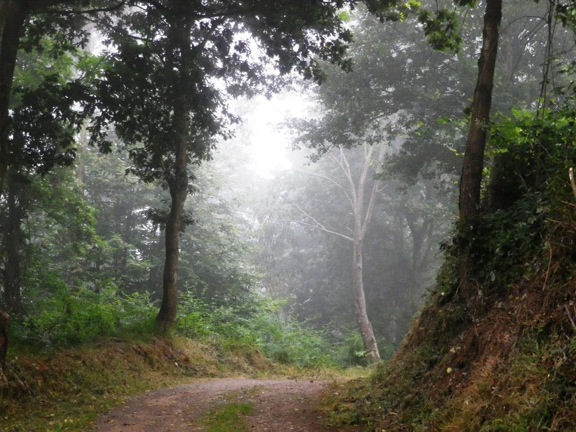 Pensamiento simiente 19 julio 2013: despertar la naturaleza divina