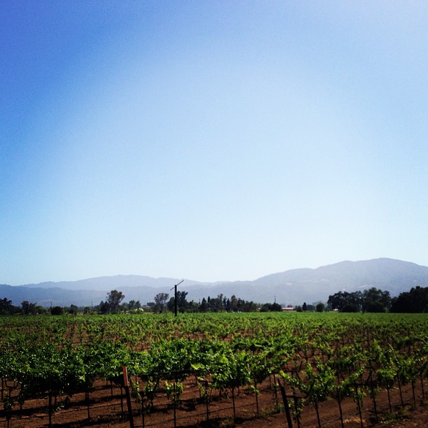 Pensamiento simiente 9 julio 2013: ¿Cómo he podido olvidarlo?