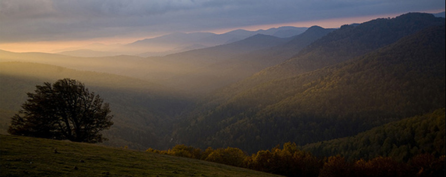 Siempre un alma noble (Koldo Aldai)