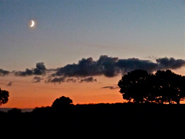Pensamiento simiente 20 septiembre 2013: soltar para ganar