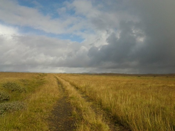 Pensamiento simiente 10 septiembre 2013: la ceremonia mágica