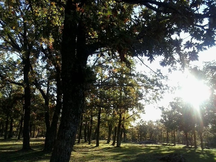 Pensamiento simiente 30 octubre 2013: nuestra gran herencia