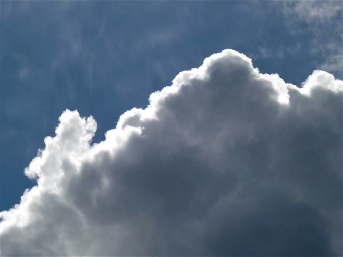 Pensamiento simiente 23 octubre 2013: un verdadero servicio al mundo