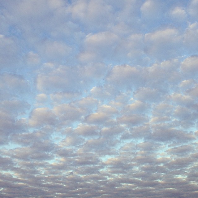 Pensamiento simiente 14 octubre 2013: seguid el sendero más elevado