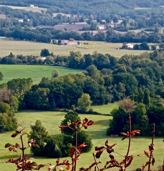 Pensamiento simiente 10 octubre 2013: hacia el Mundo Aquel