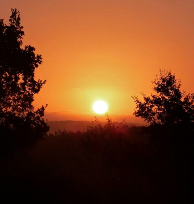 Pensamiento simiente 7 octubre 2013: la luz que nos llama