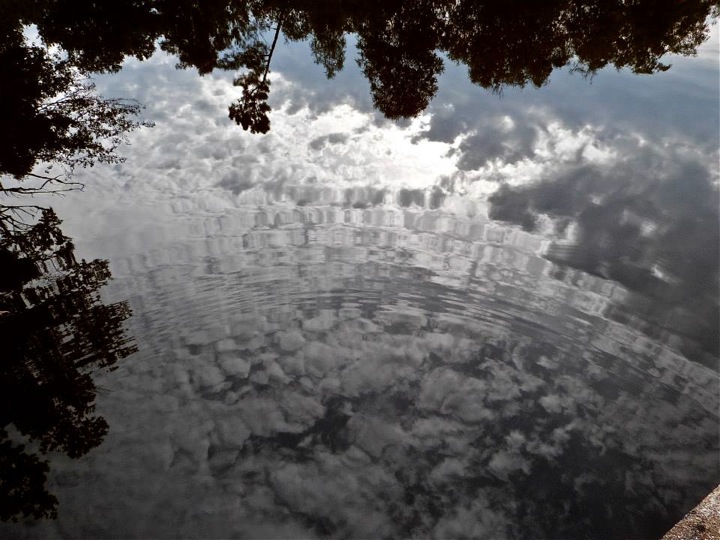 Pensamiento simiente 18 octubre 2013: la pureza