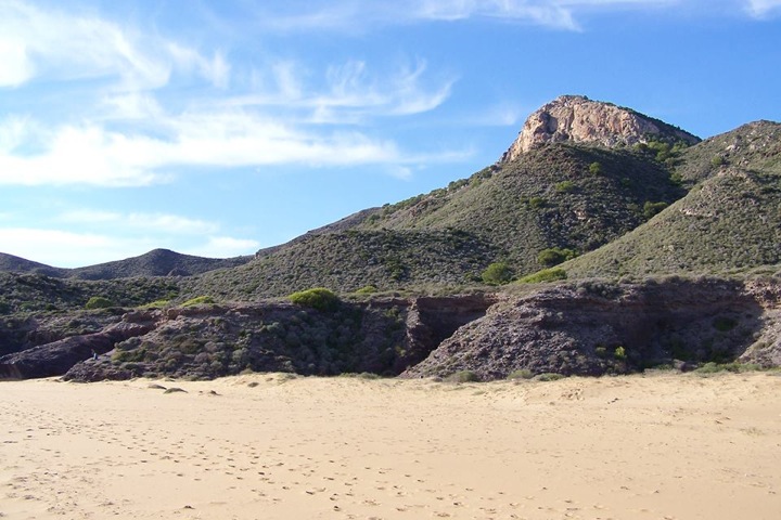 Pensamiento simiente 25 noviembre 2013: ver en el otro al hermano