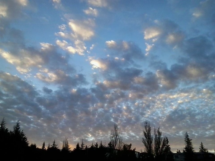 Pensamiento simiente 19 noviembre 2013: desde el intelecto a la intuición