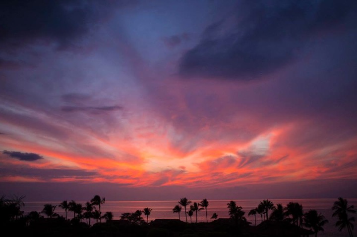 Pensamiento simiente 26 noviembre 2013: dignidad, fraternidad, solidaridad