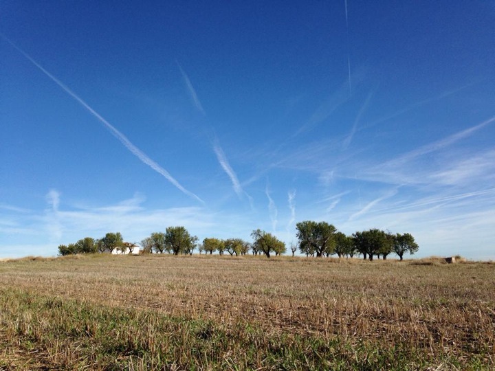 Pesamiento simiente 4 noviembre 2013: sentirnos libres