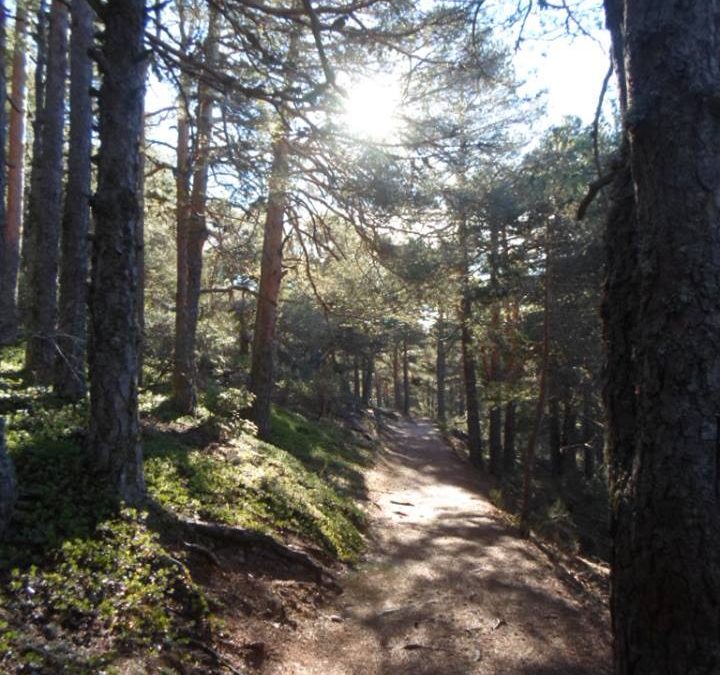 Pensamiento simiente 16 diciembre 2013: porque para el alma no hay obstáculos…