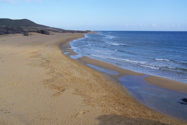 Pensamiento simiente 12 diciembre 2013: dar un ejemplo vivo