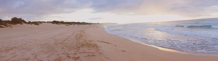 Pensamiento simiente 3 diciembre 2013: la unión