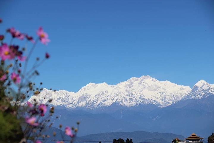 Pensamiento simiente 11 diciembre 2013: el puñado de cerezas