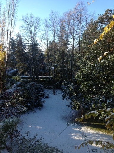 Pensamiento simiente 4 diciembre 2013: como el sol