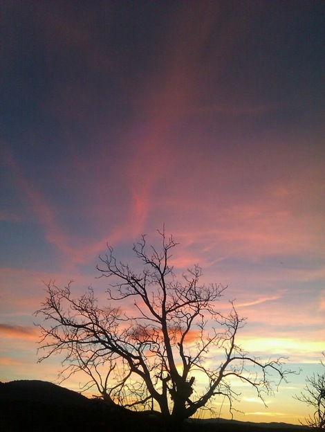 Pensamiento simiente 31 enero 2014: las alquimias