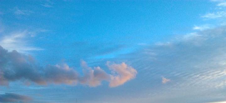 Pensamiento simiente 27 marzo 2014: una alquimia sanadora