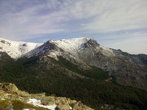 Pensamiento simiente 29 enero 2014: despertares